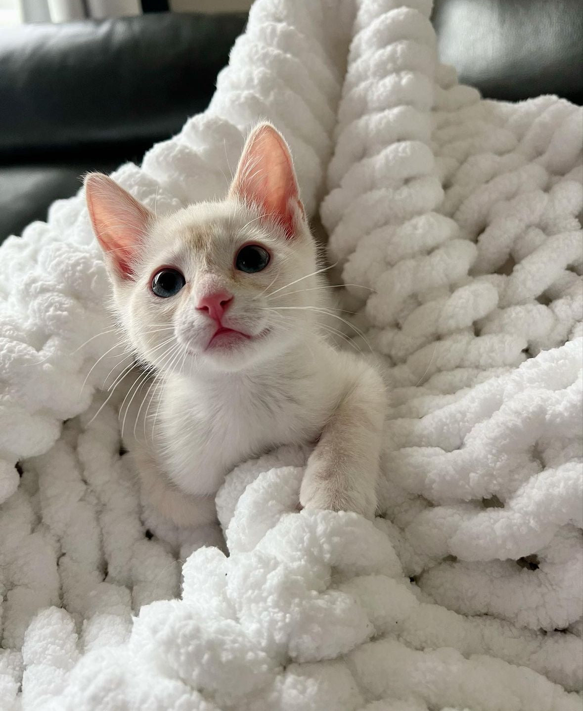 White Chunky Knit Blanket.